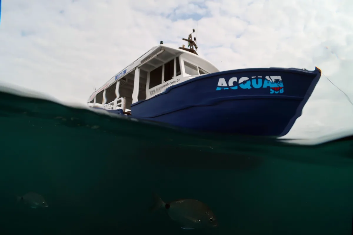 Acqua Sub - Mergulho